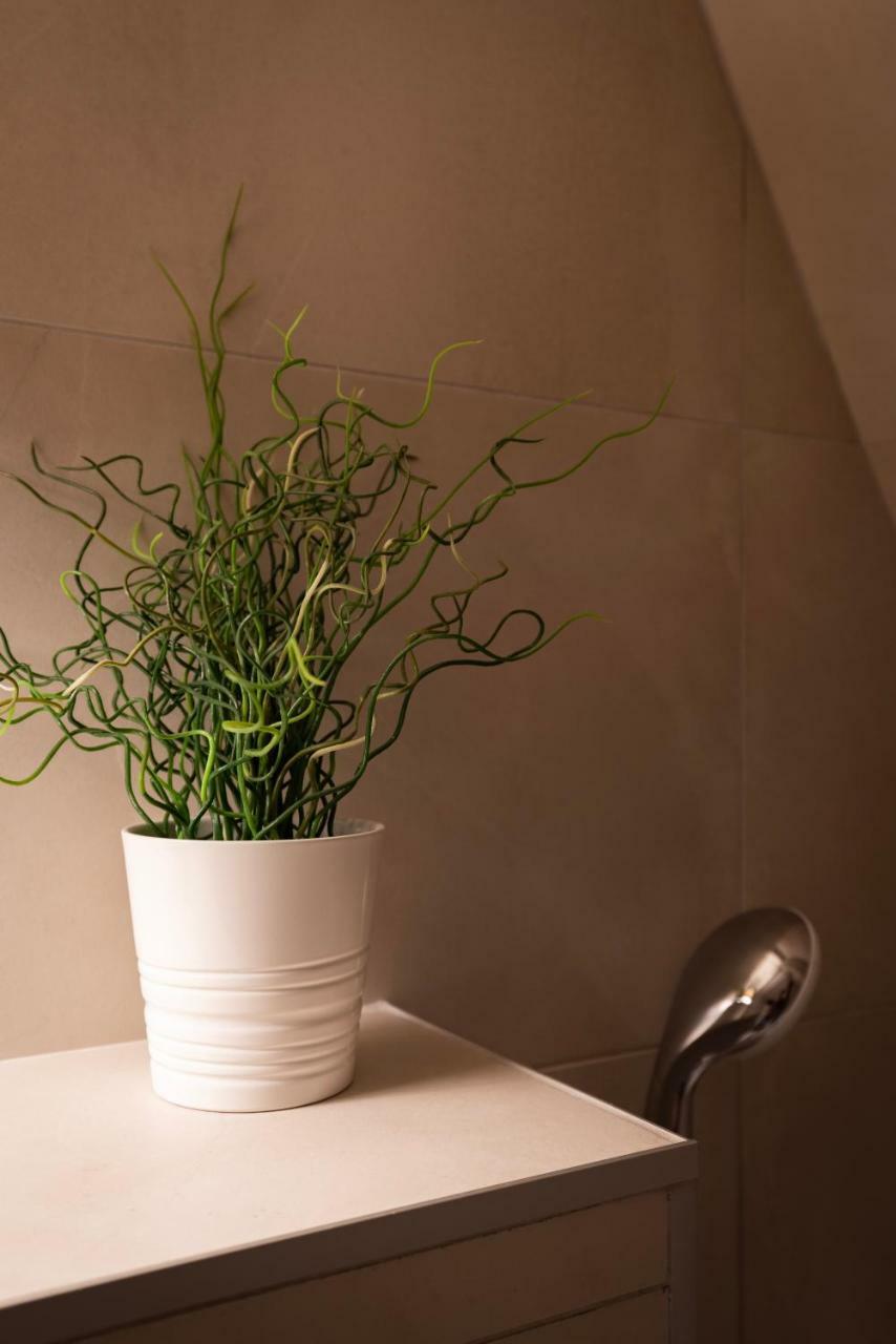 Appartement Citycosy - Authentique Batelier