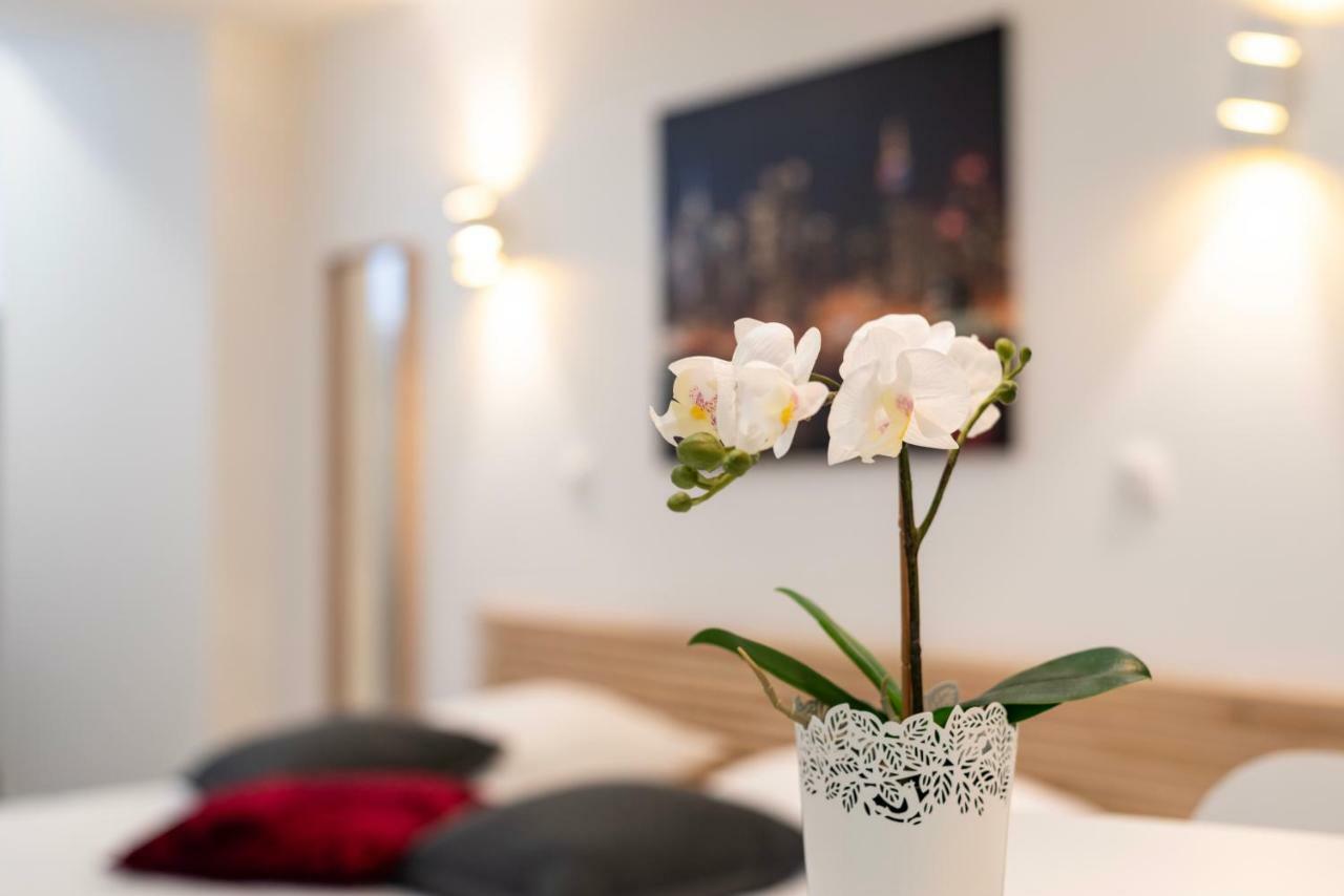 Citycosy - Hirtz Orangerie Strazburg
