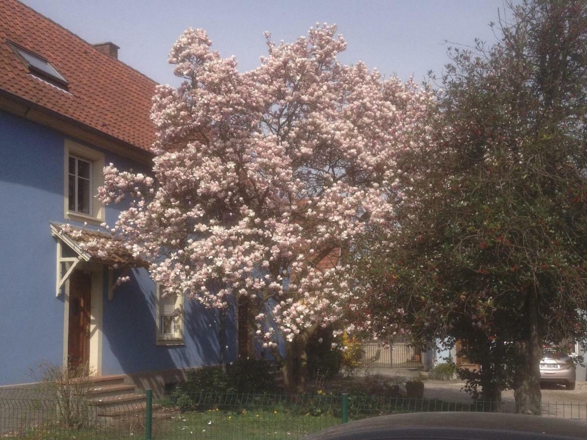 Maison Des écluses F3 90m2 Jacuzzi Climatisation * Strasbourg