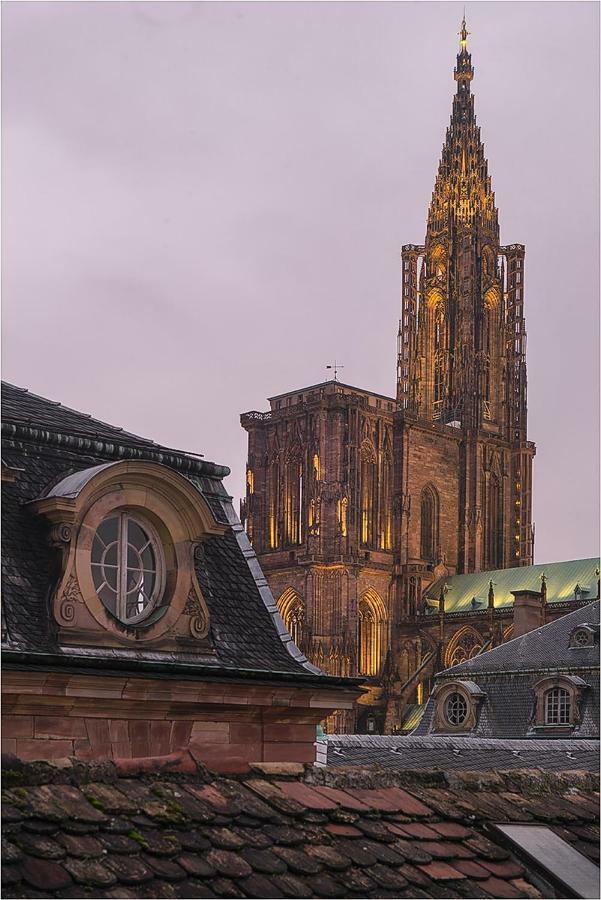 L'oeil Sur La Fleche * Strasbourg