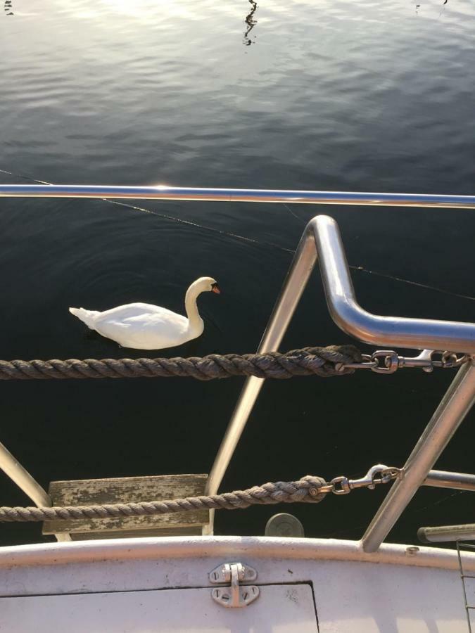 Bateau Eos *