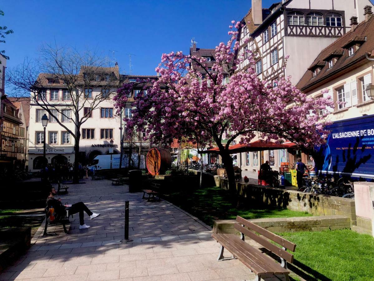 Le Moment Bleu Strazburg