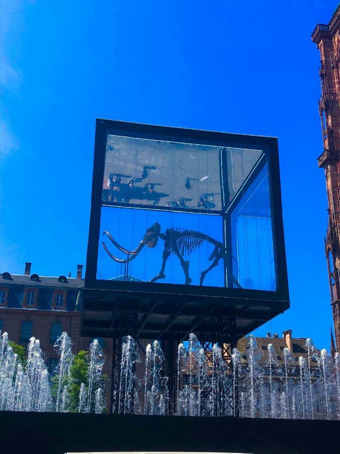 Apartment Le Moment Bleu Strasbourg
