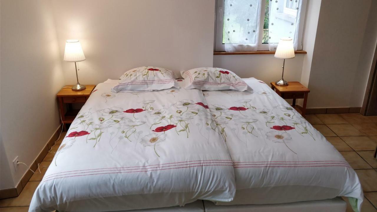 Maison Des écluses F3 90m2 Jacuzzi Climatisation * Strasbourg