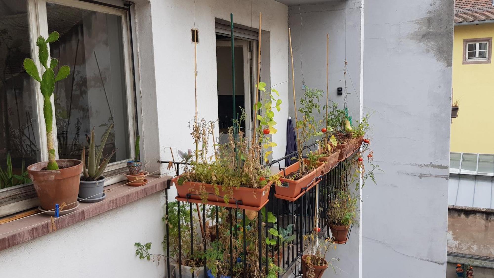 La Puisatiere 80 M2 Apartment *