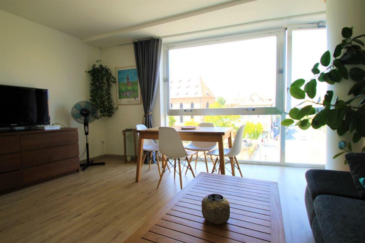Au Coeur De Strasbourg, 3 Pieces Vue Sur L'ill! *