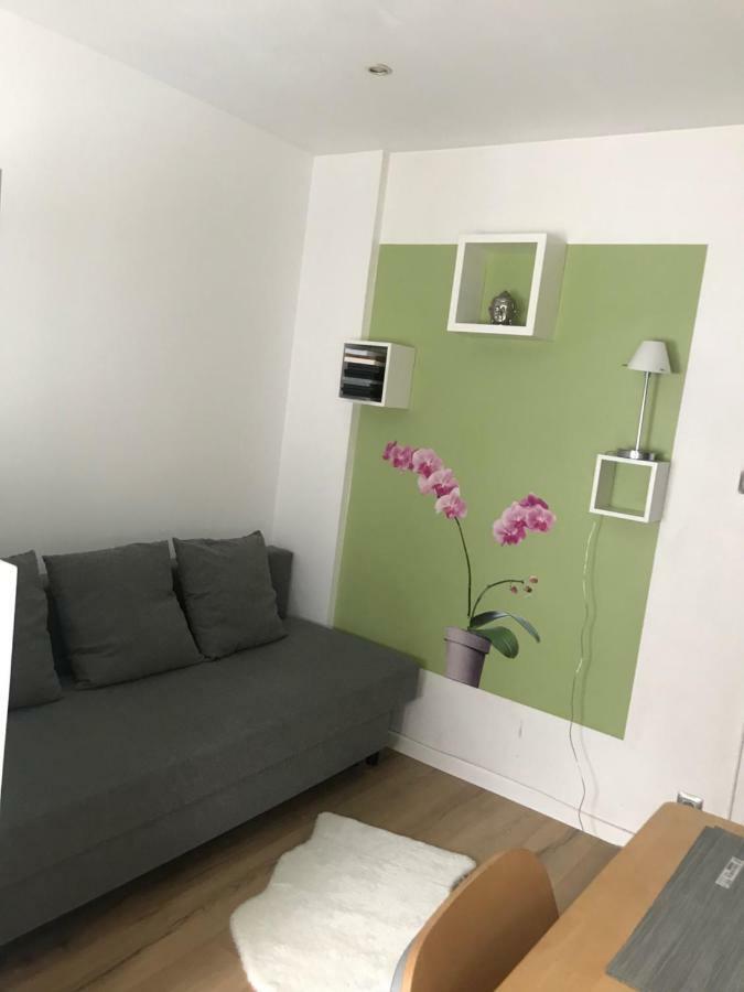 Appartement Functional And Cosy Strasbourg