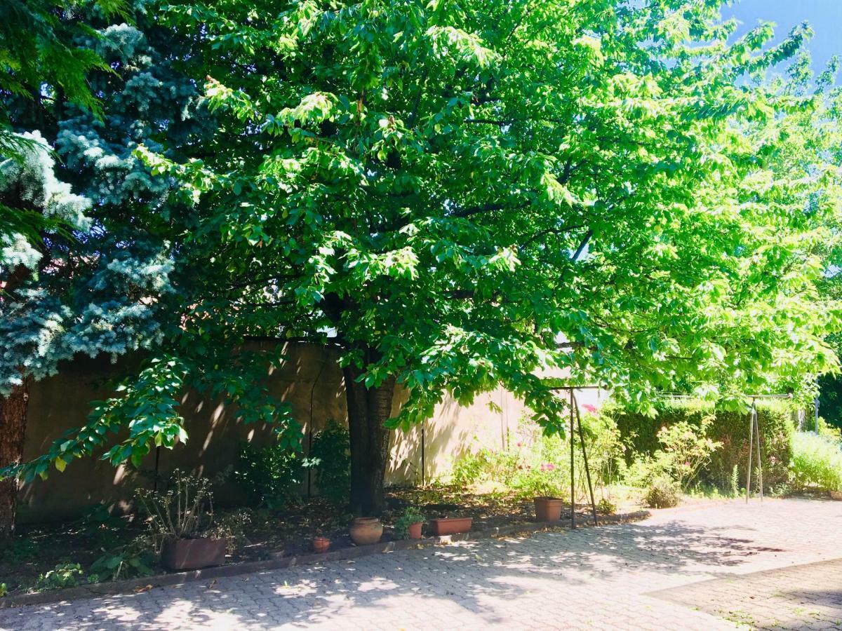 Holiday home Ducs D'alsace
