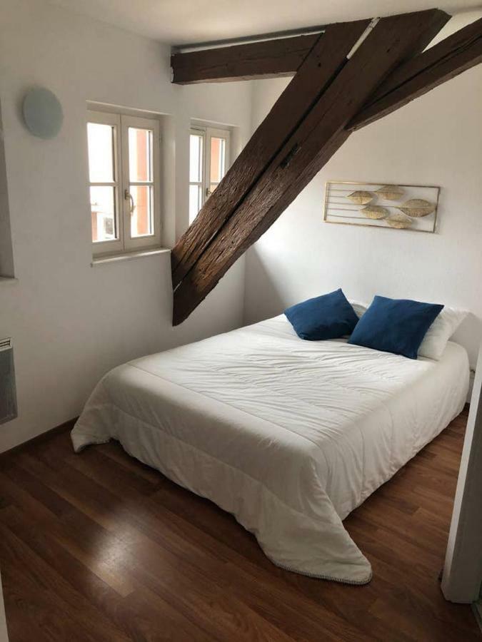 Appartement Avec Balcon Centre Straatsburg
