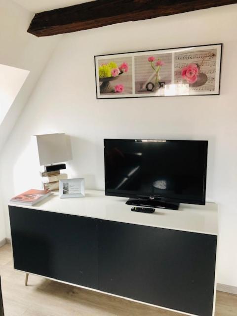 Apartment A L'ill - & Hyper Centre Strasbourg