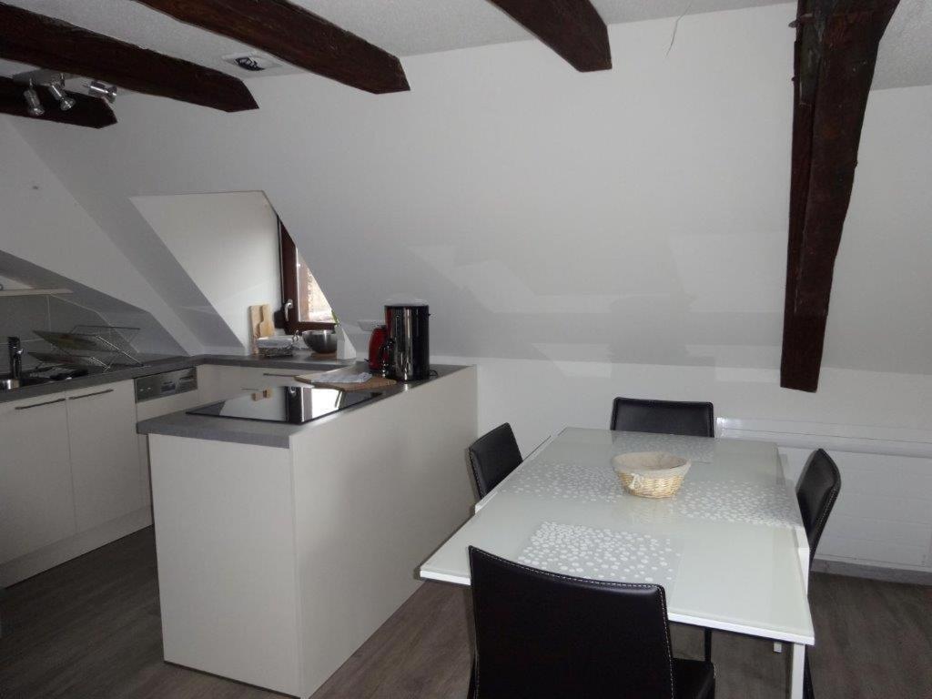 Apartment A L'ill - & Hyper Centre Strasbourg
