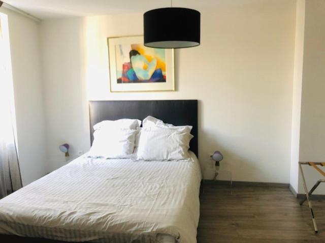 A L'ill - & Hyper Centre Apartment Strasbourg