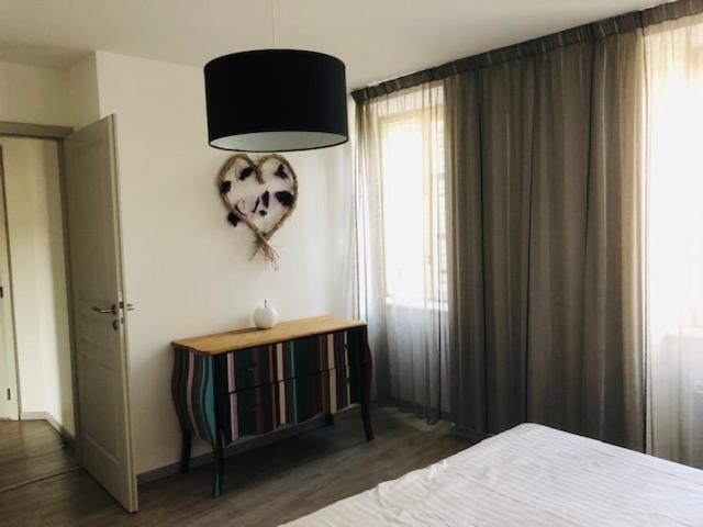 A L'ill - & Hyper Centre Apartment Strasbourg