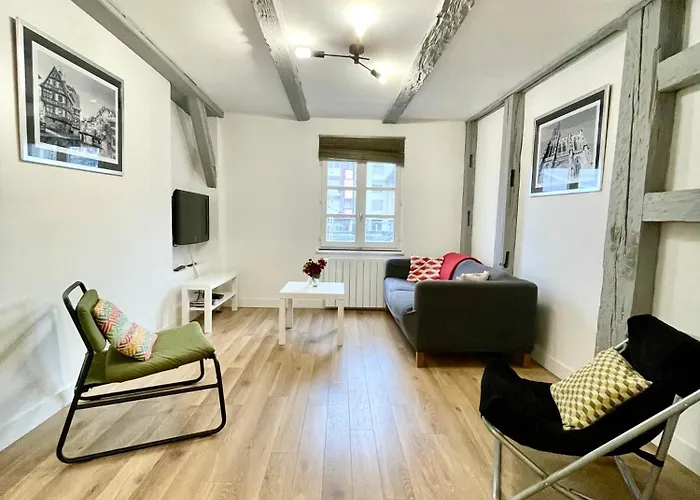 Strasbourg Magnifique Appartement Centre Ville Petite France