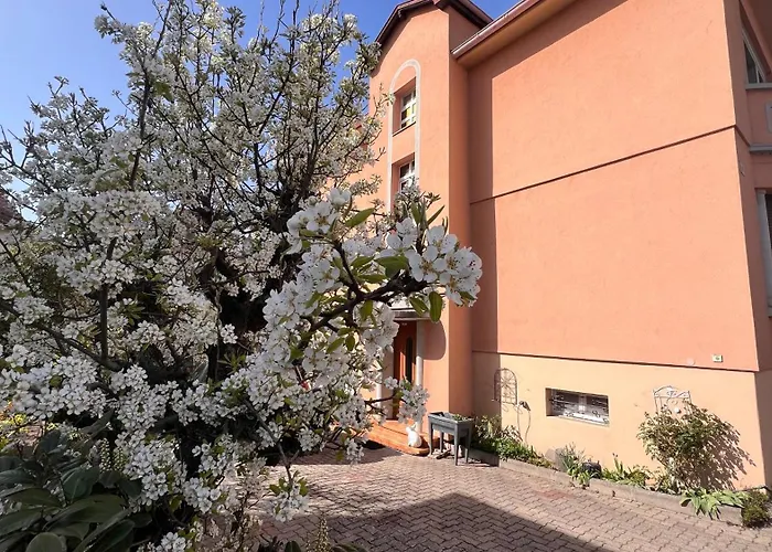 T3 + Veranda A Strasbourg