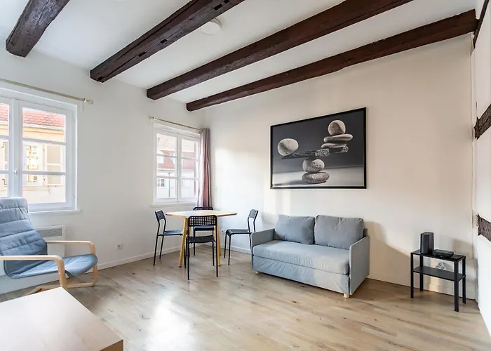 Appartement Au Centre De Strasbourg