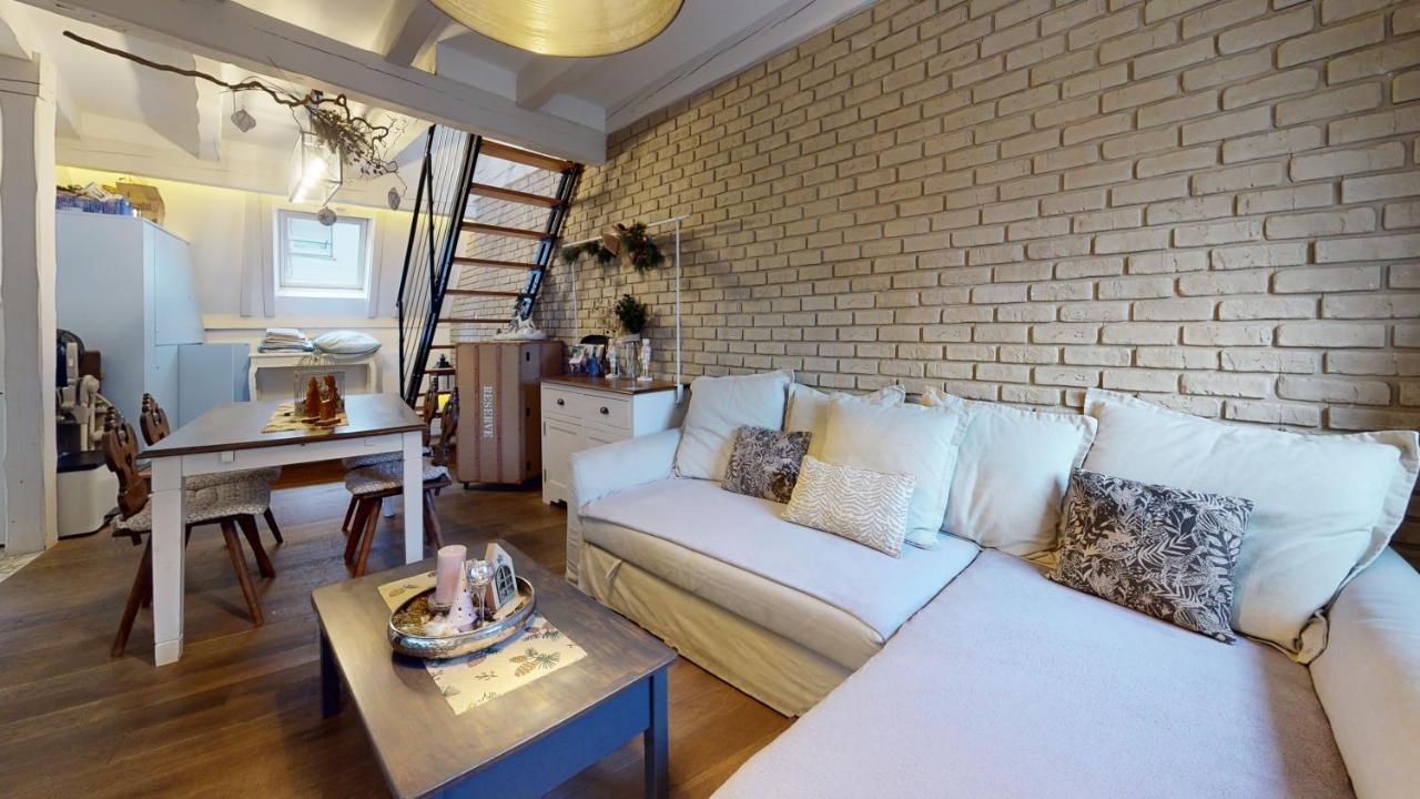 Le Nid De L'ill, Magnifique Duplex Cosy Petite France