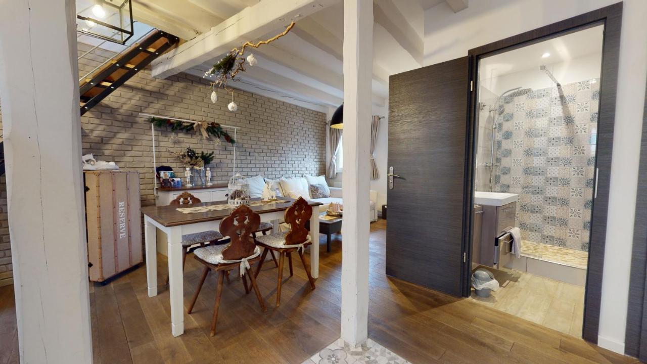 Le Nid De L'ill, Magnifique Duplex Cosy Petite France Strasbourg
