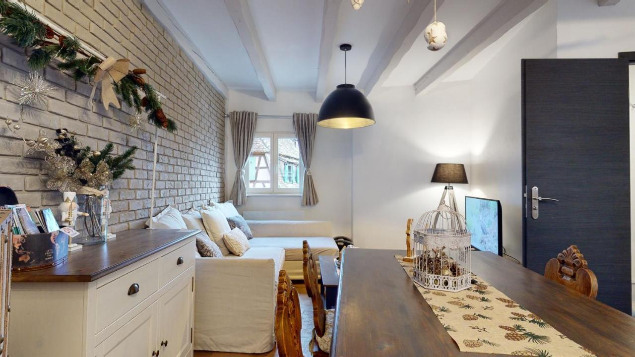Le Nid De L'ill, Magnifique Duplex Cosy Petite France
