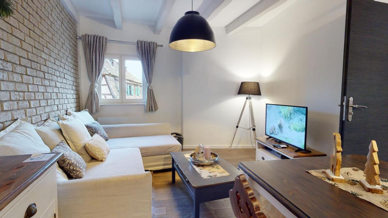 Le Nid De L'ill, Magnifique Duplex Cosy Petite France * Strasbourg