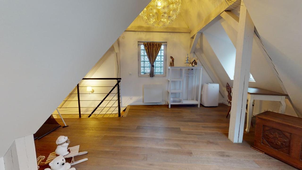 Le Nid De L'ill, Magnifique Duplex Cosy Petite France * Strasbourg