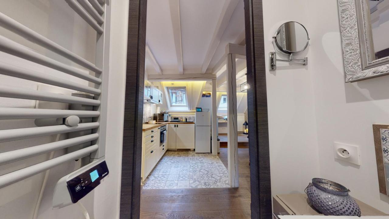 Apartment Le Nid De L'ill, Magnifique Duplex Cosy Petite France *