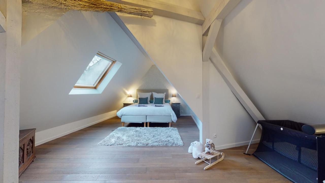Le Nid De L'ill, Magnifique Duplex Cosy Petite France Apartment Strasbourg