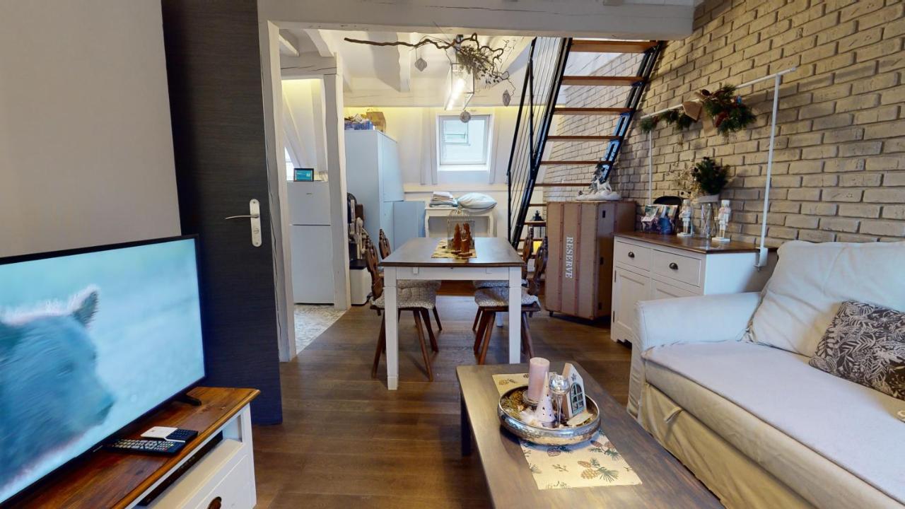 Le Nid De L'ill, Magnifique Duplex Cosy Petite France Apartment Strasbourg