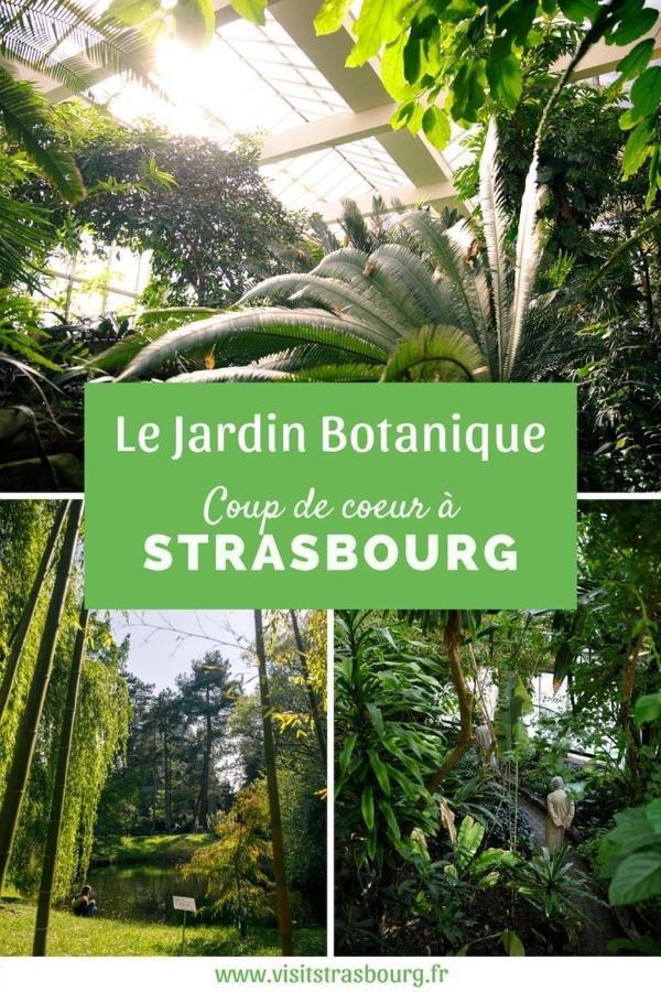 Appartement 6 Personnes Proche Centre & Parking