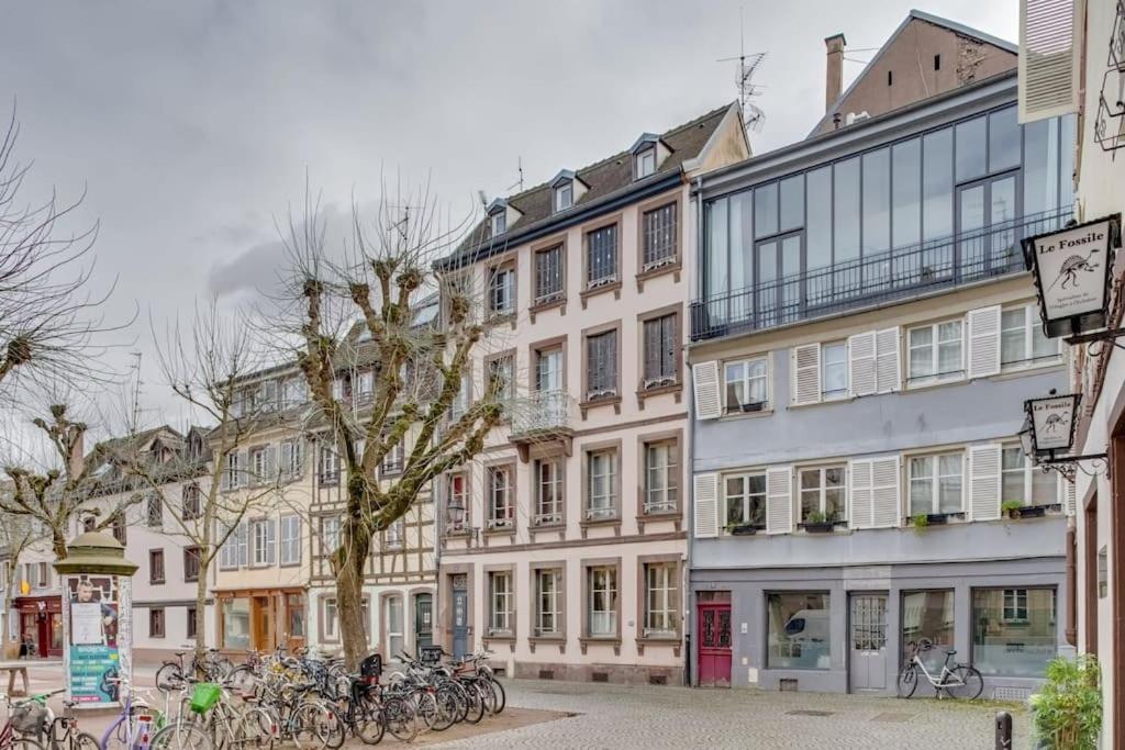 Le Loft Des Lumieres - Superbe Loft Lumineux Au Coeur De La Krutenau Appartement *