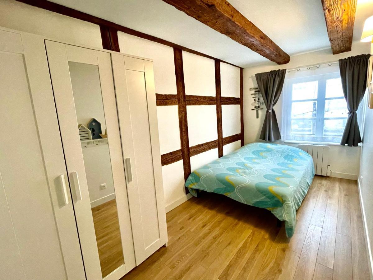 Magnifique Centre Petite France Apartment