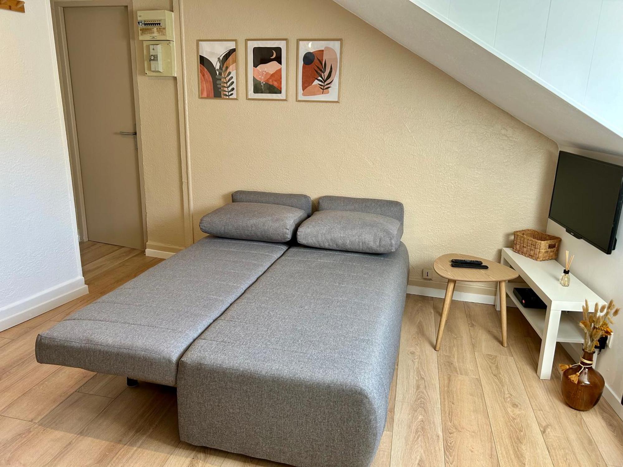 Apartment Douce Agathe - Duo-groupe, Chaleureux, Tram 200m, Centre 10min *