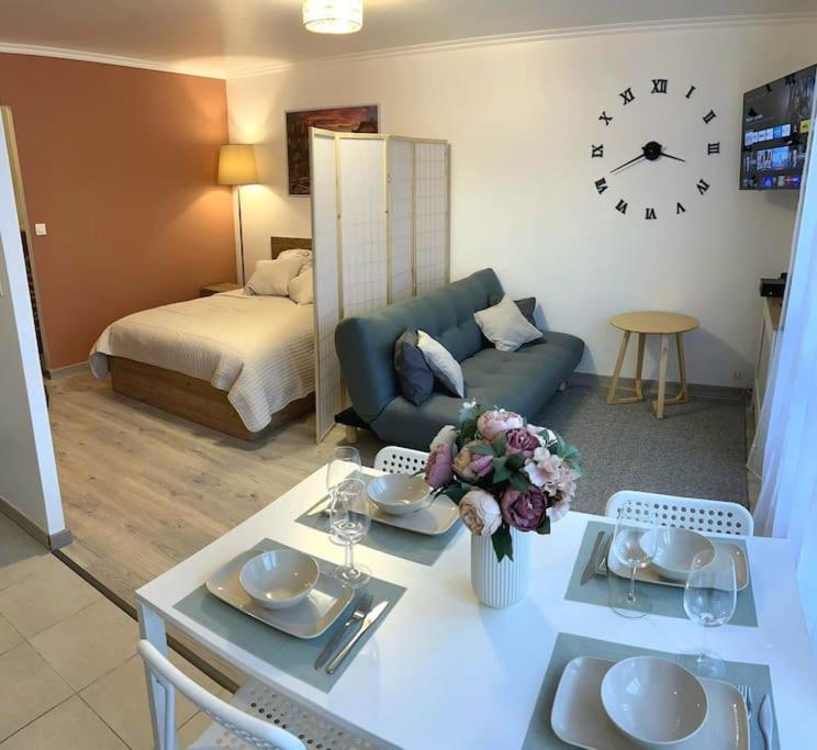 Grand Studio Proche Centre * Straatsburg