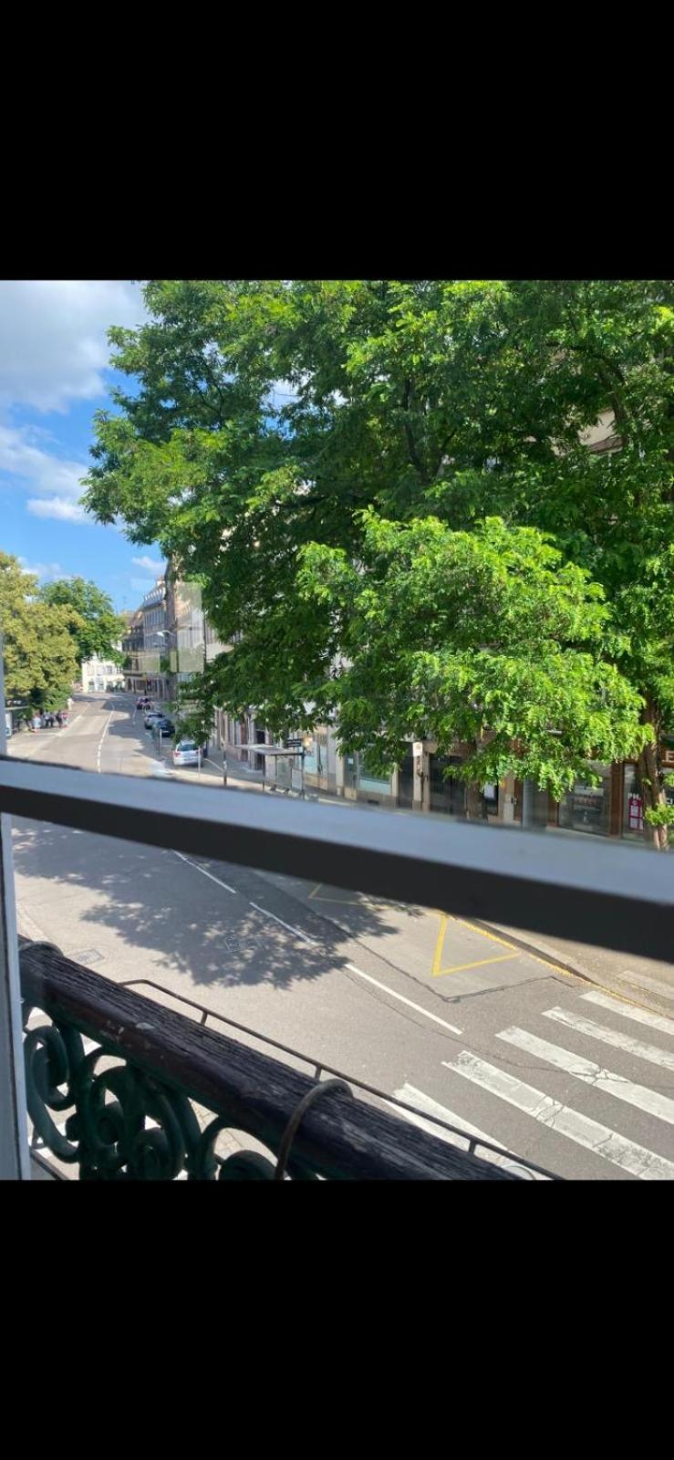 Apartment Spacieux Et Lumineux Au Coeur Du Centre Strasbourg
