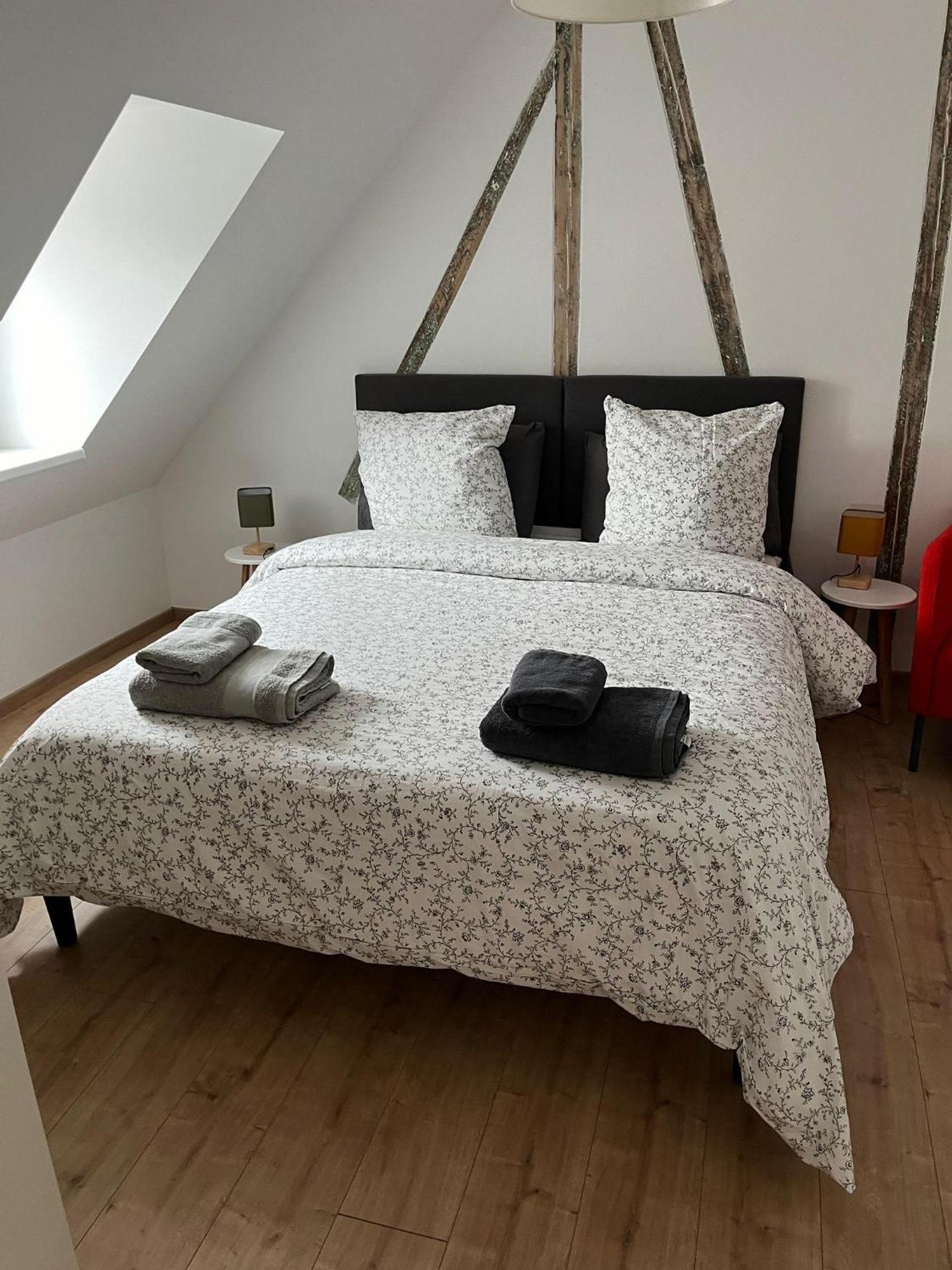 Le Donjon 120 M2 5mn Centre Au Calme Apartament Strasburg