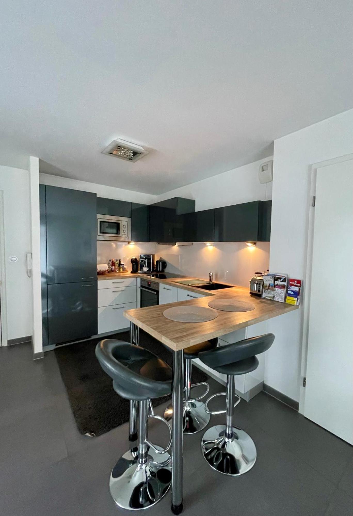 Robertsau, Jardin En Apartment