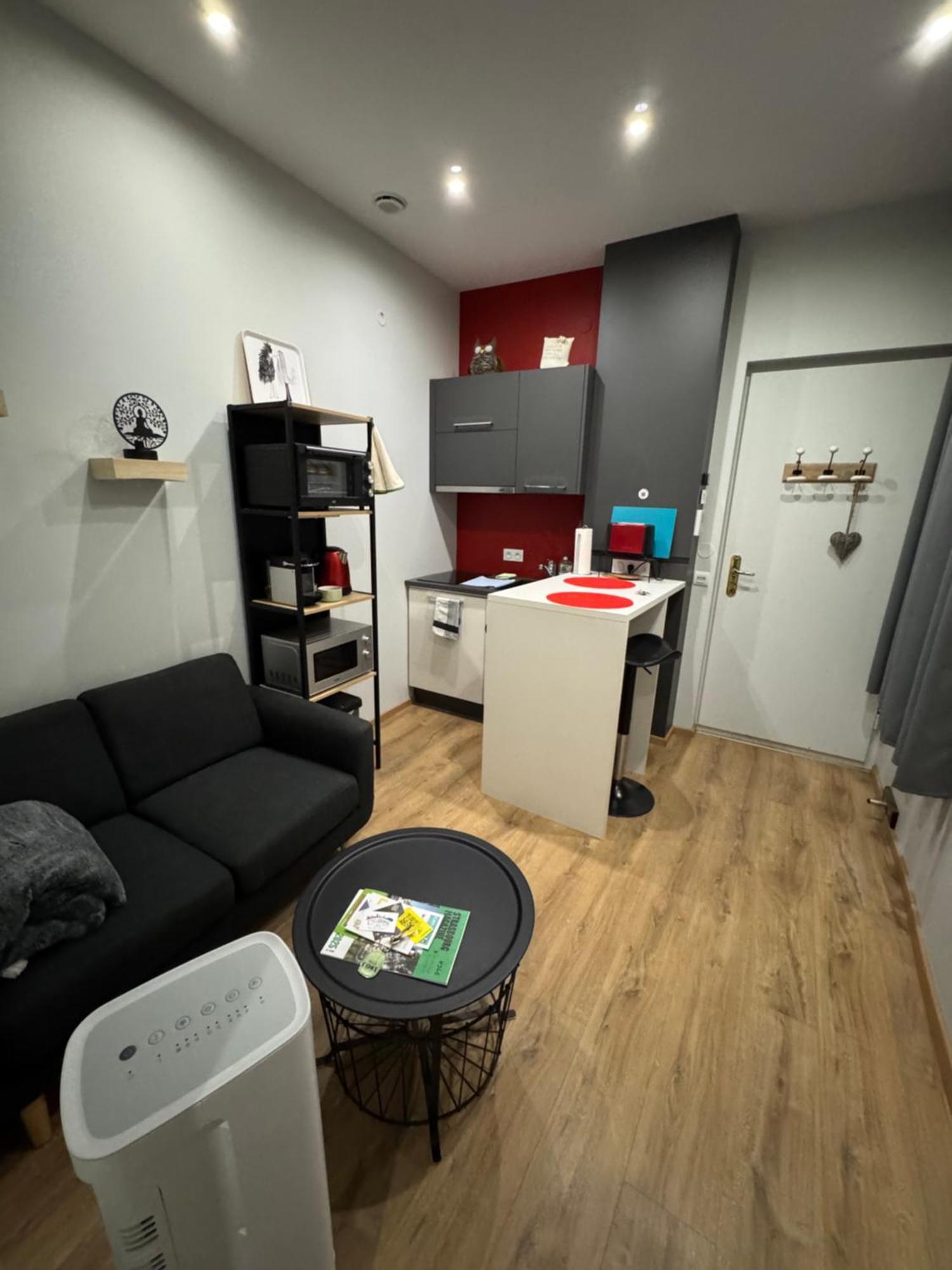 De L'epine Apartment Strasbourg