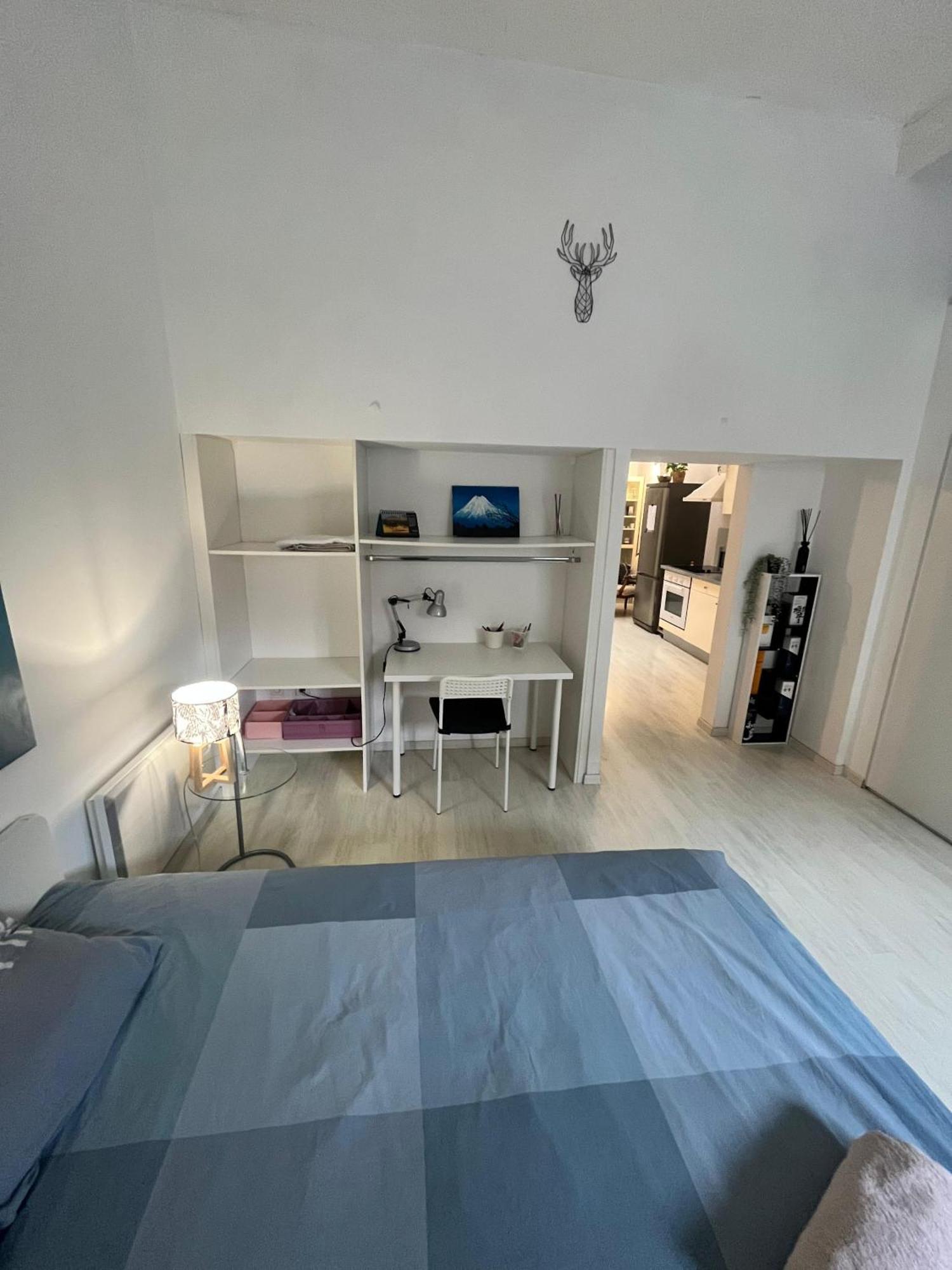 Tres Bel Spacieux Proche Universites Et Centre Apartment Strasbourg