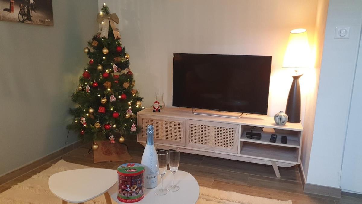 Apartment Le 11 - Terrasse Et Jardin A 10 Minutes A Pieds Du Centre-ville