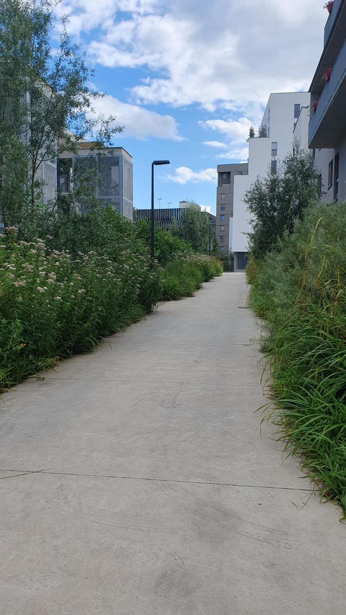 Le 11 - Terrasse Et Jardin A 10 Minutes A Pieds Du Centre-ville