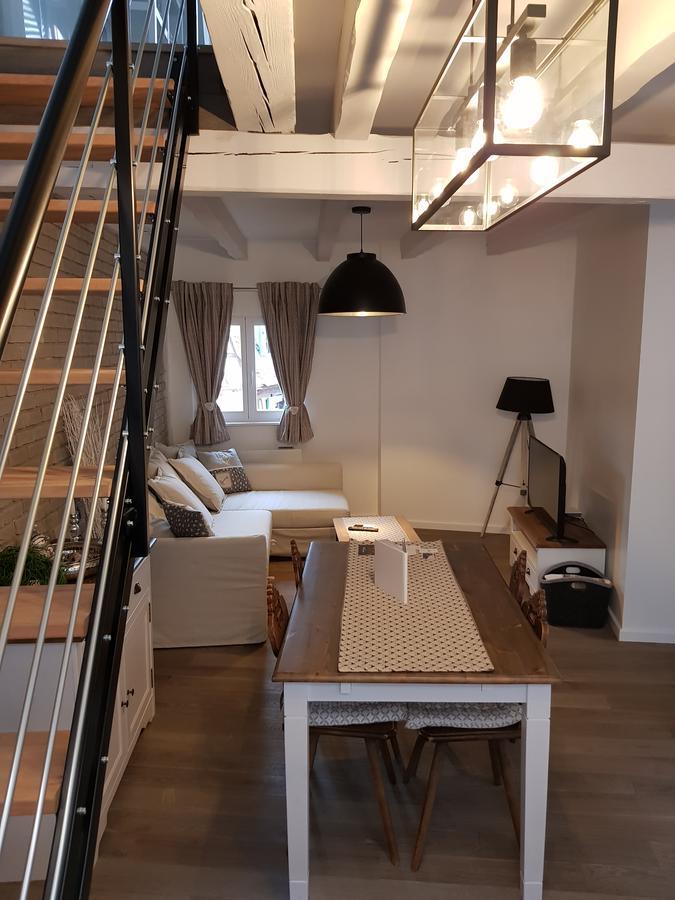 Le Nid De L'ill, Magnifique Duplex Cosy Petite France Apartment Strasbourg
