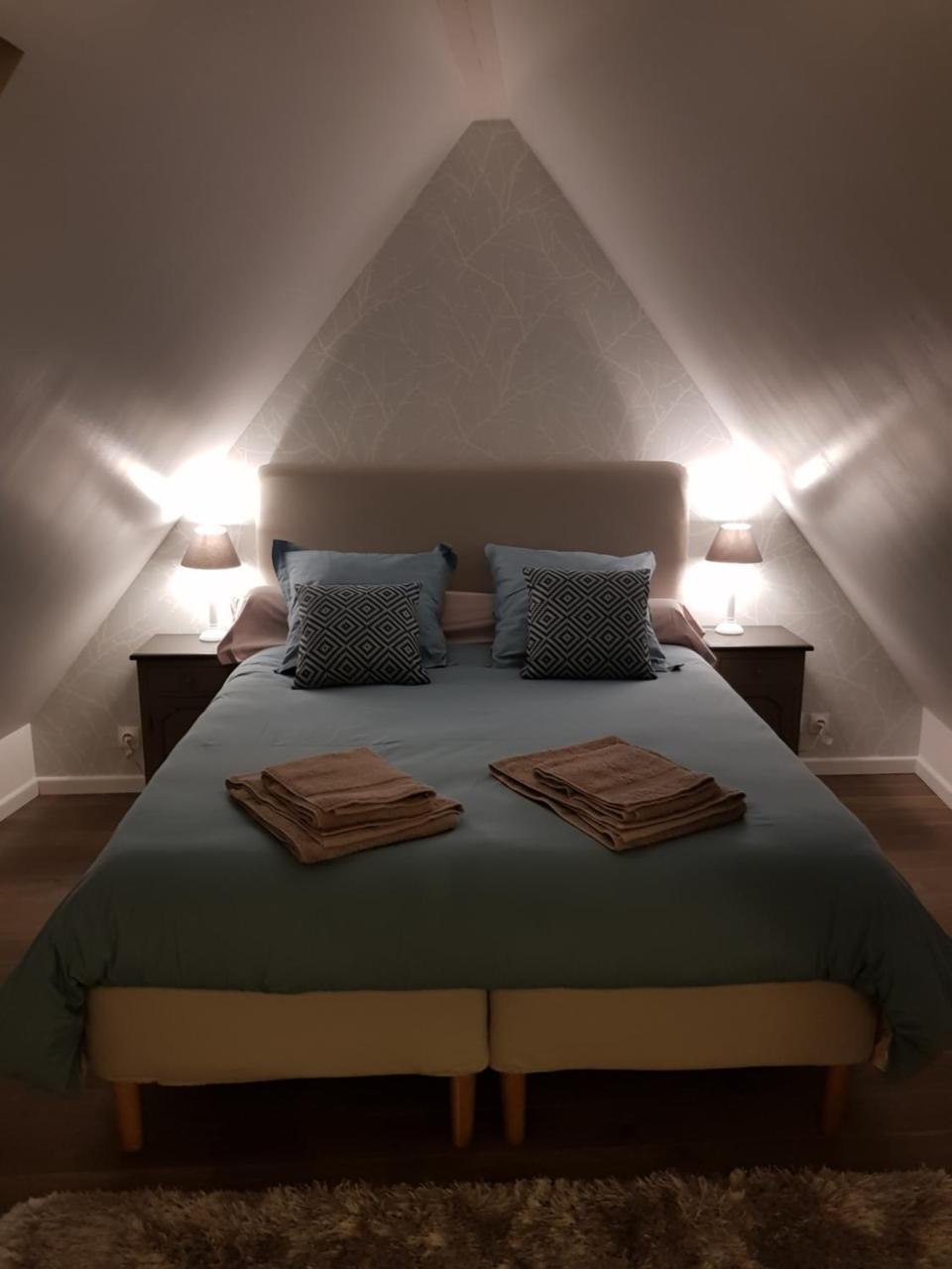 Le Nid De L'ill, Magnifique Duplex Cosy Petite France * Strasbourg