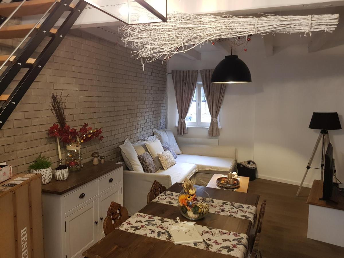 Le Nid De L'ill, Magnifique Duplex Cosy Petite France Strasbourg