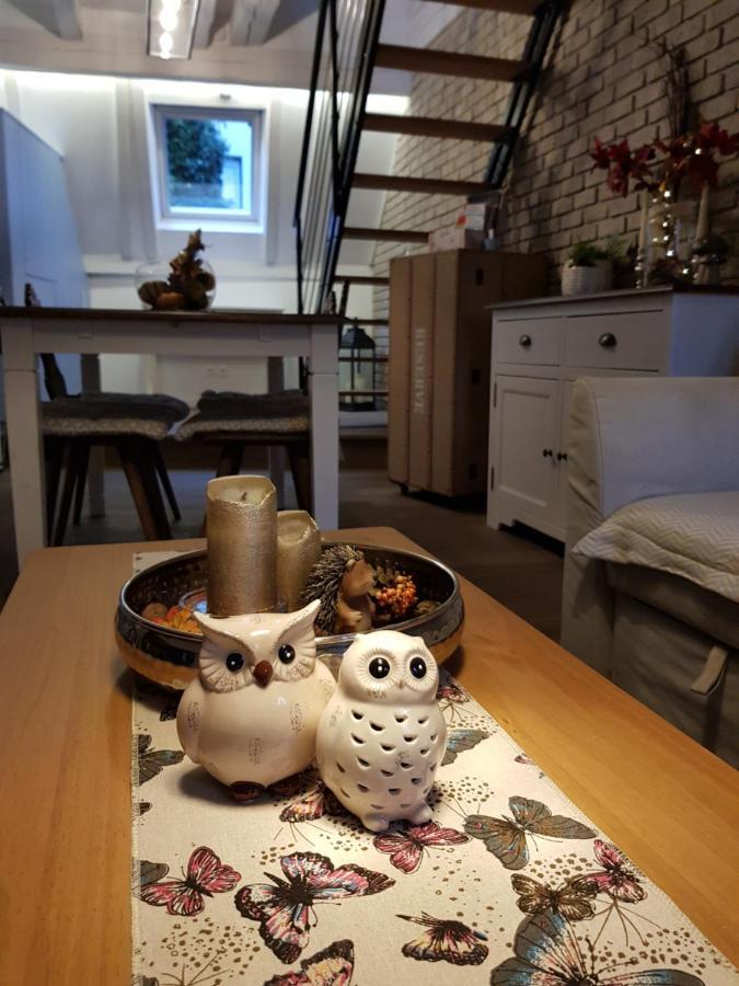 Le Nid De L'ill, Magnifique Duplex Cosy Petite France Apartment *