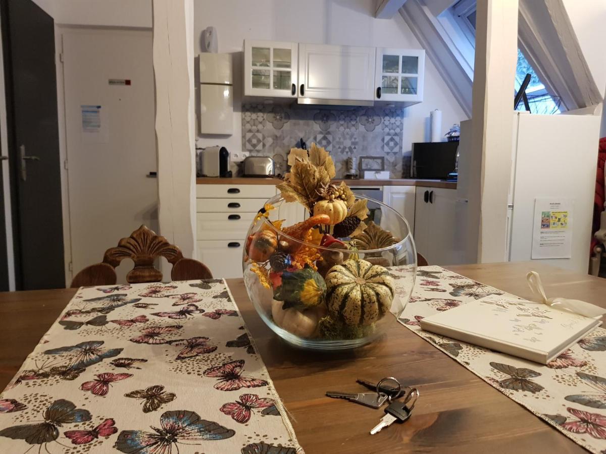 Le Nid De L'ill, Magnifique Duplex Cosy Petite France Strasbourg
