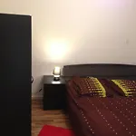 Beau T2 Au Calme Et Au Centre De Strasbourg