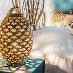 Lumineux - L\'Oasis - Parking Prive