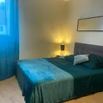 Grand Studio Proche Du Centre Ville