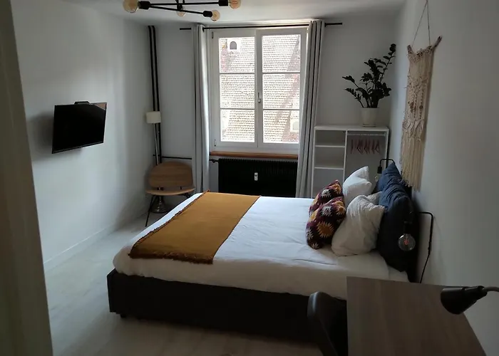 Appartement Spacieux Et Cosy - Strasbourg Centre