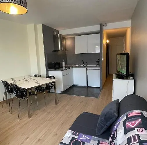 Grand Studio Proche Du Centre Ville